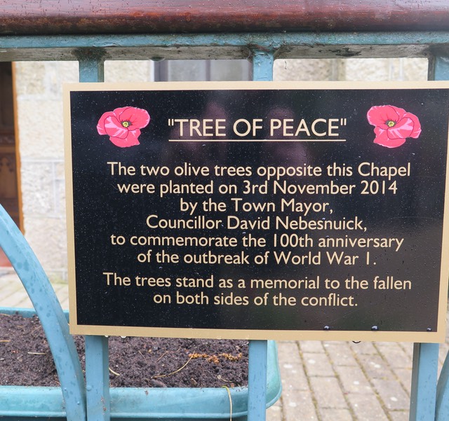 IMG_1421 tree of peace